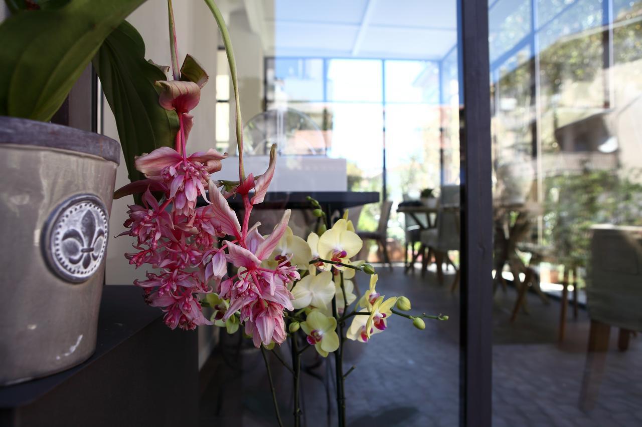 Casa Fioravanti 阿尔比尼娅 外观 照片
